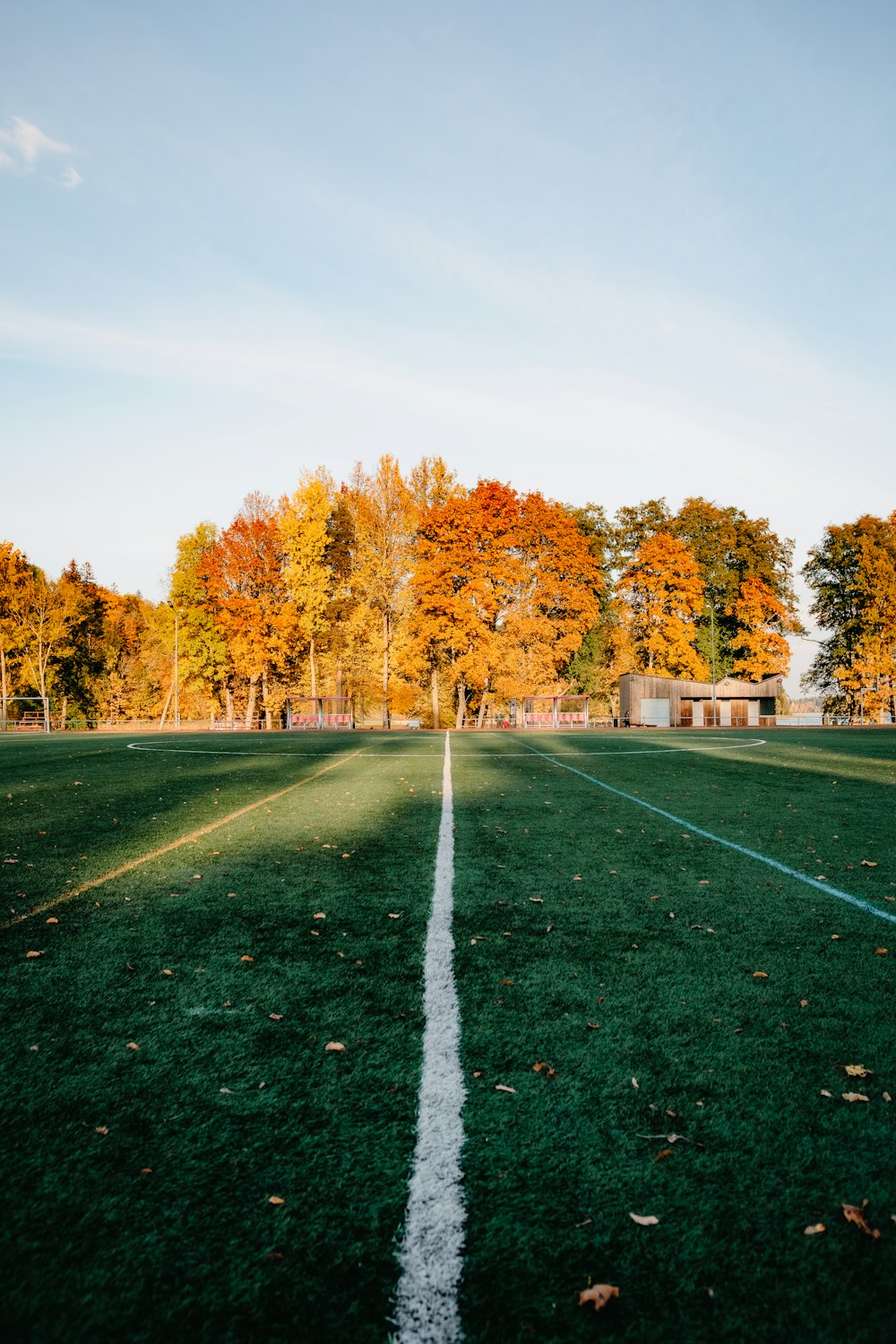 a soccer field with trees in the background