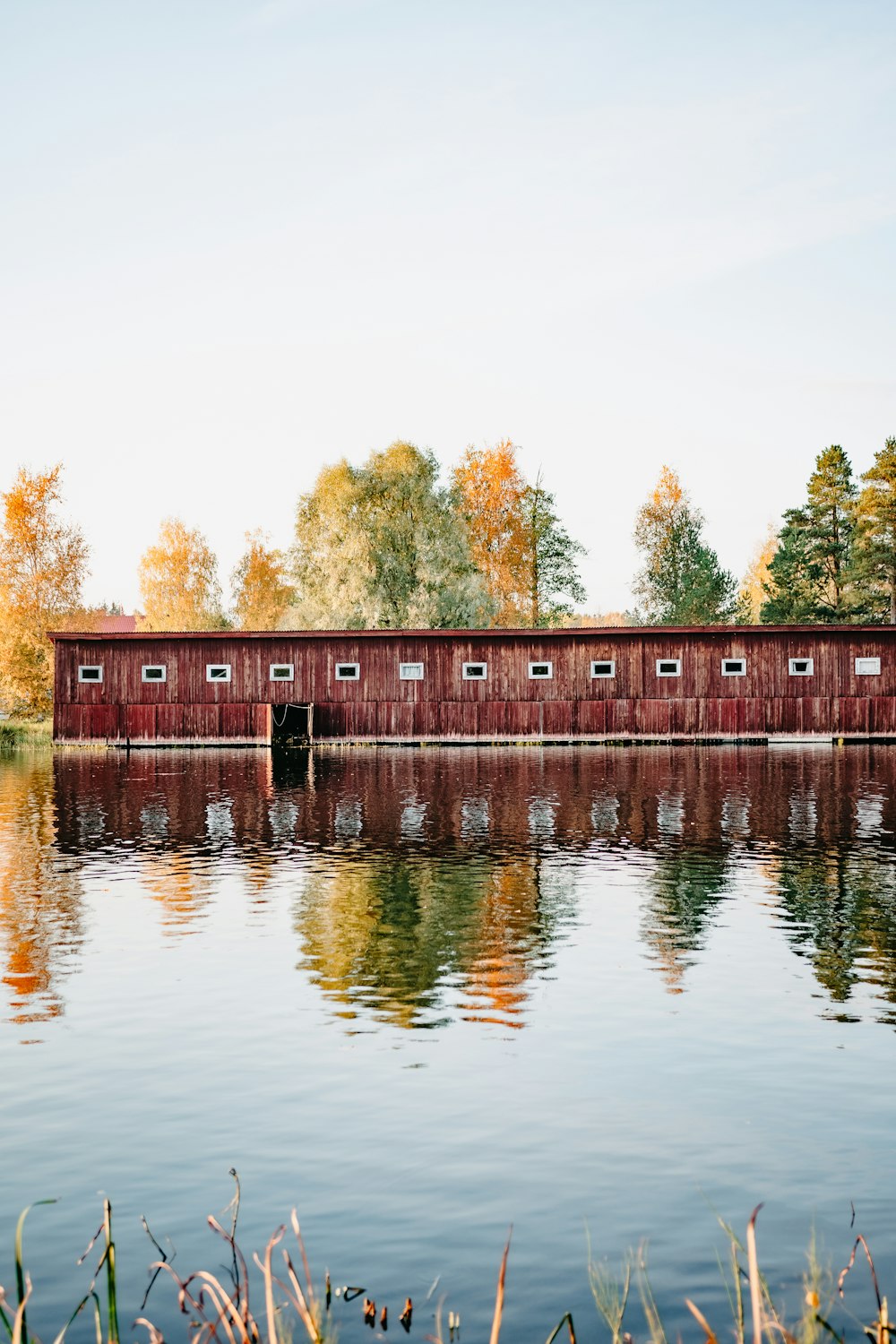 a large body of water surrounded by trees