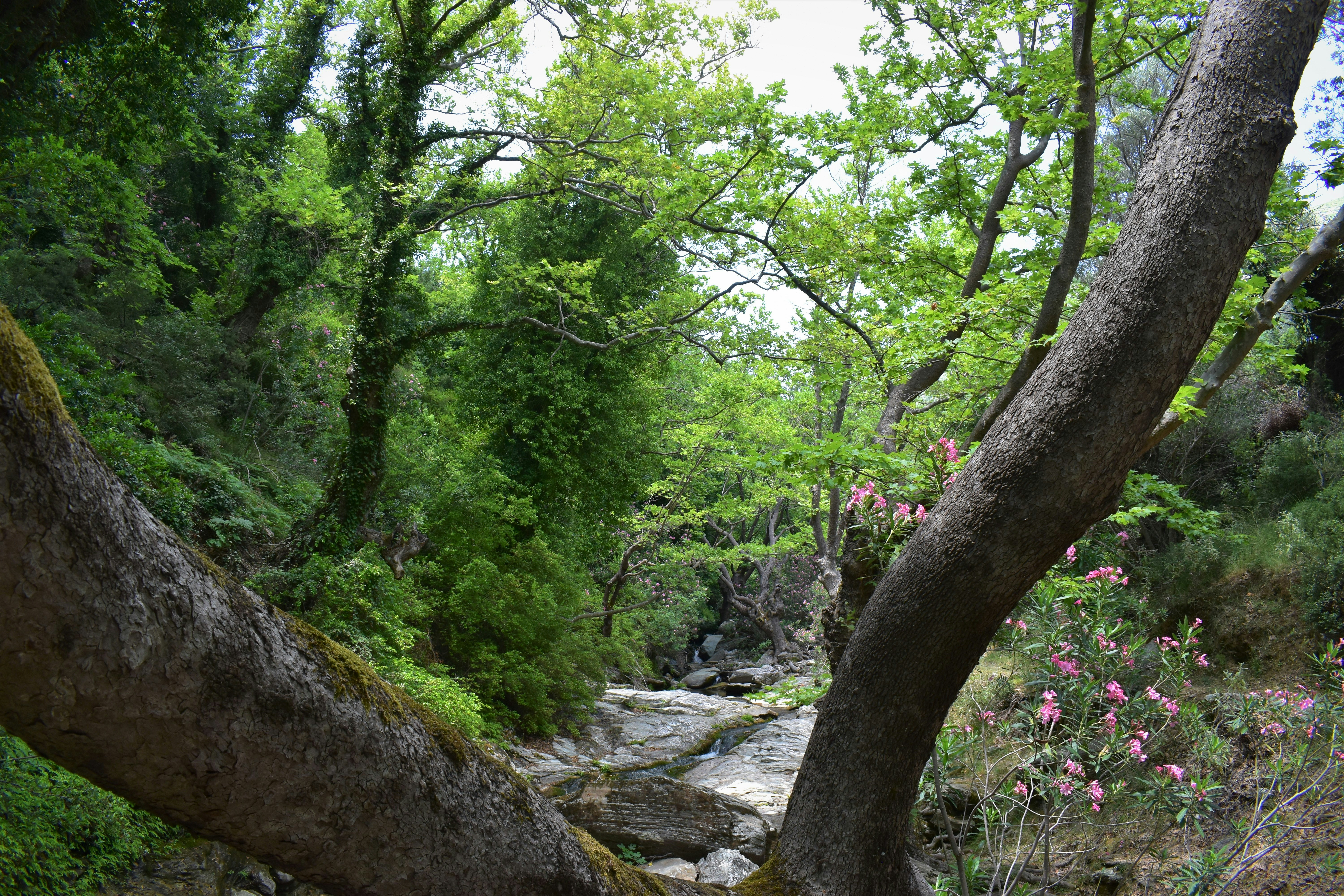 Photo by john_karathas