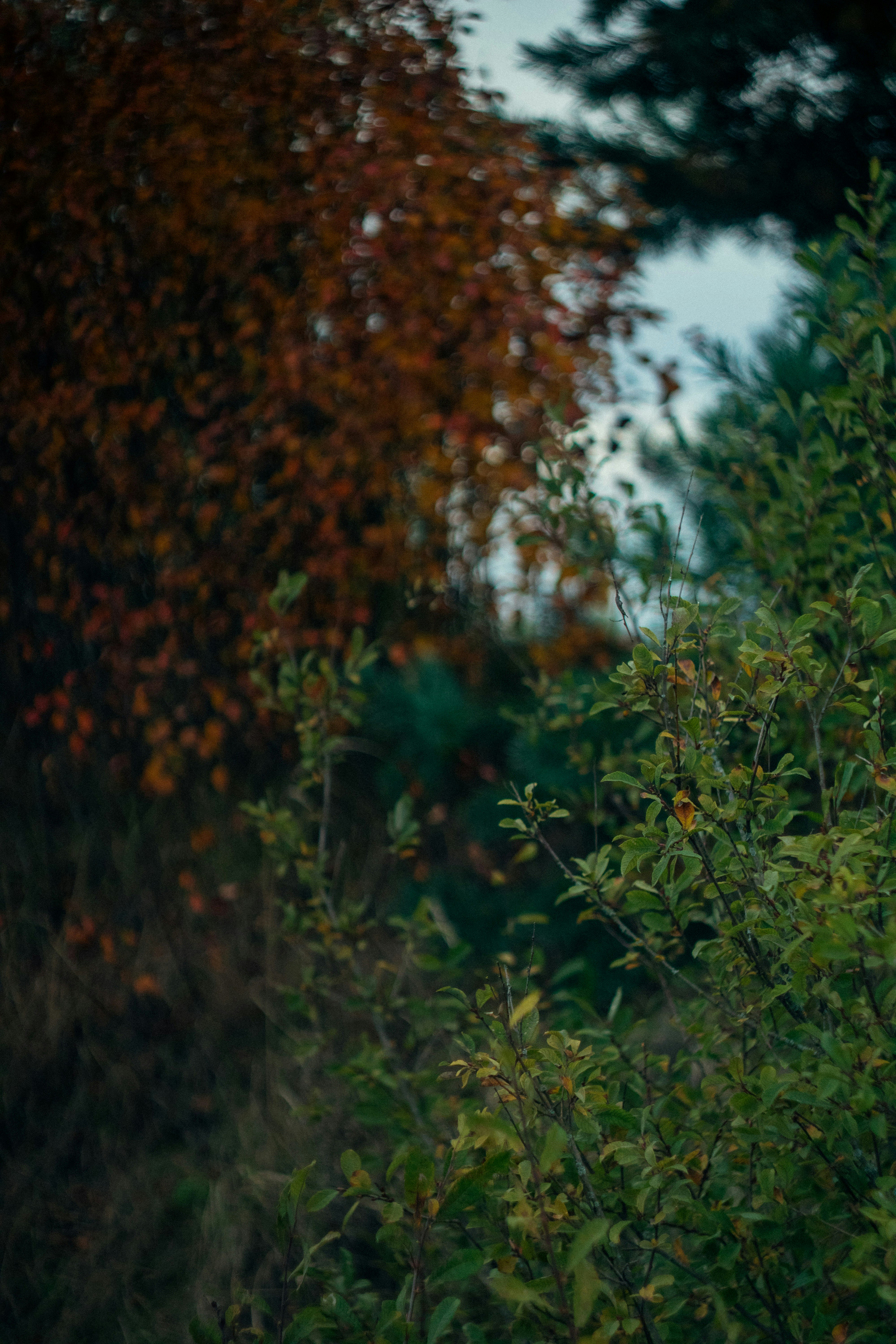 Photo by soulhall_photo