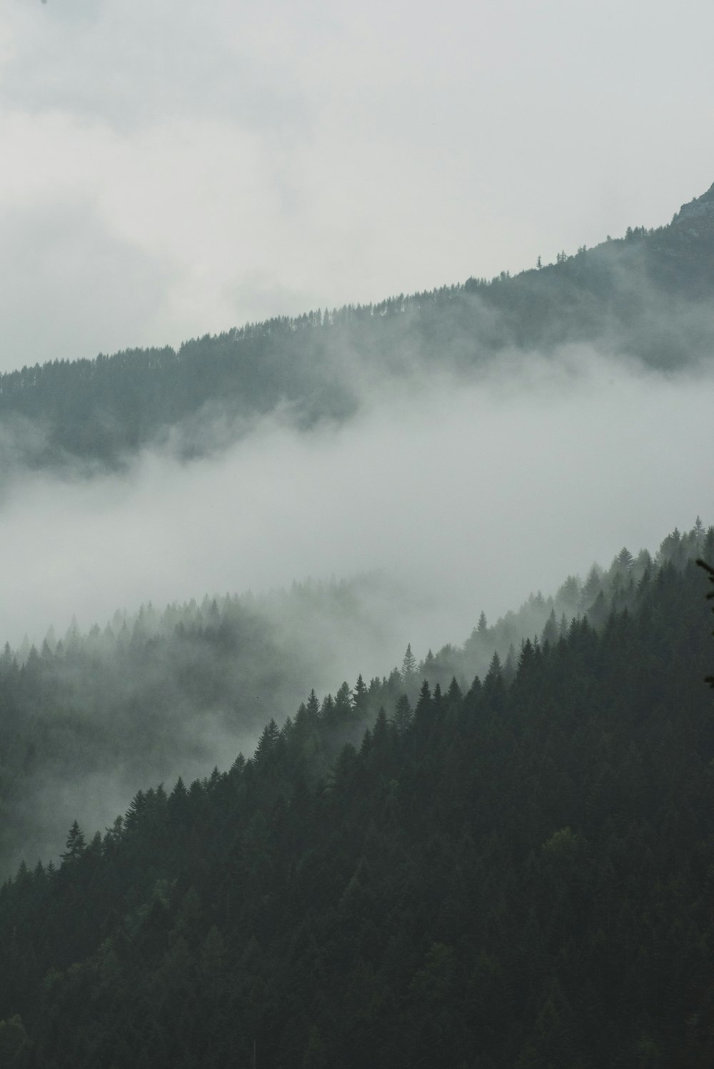 a mountain covered in fog and low lying clouds