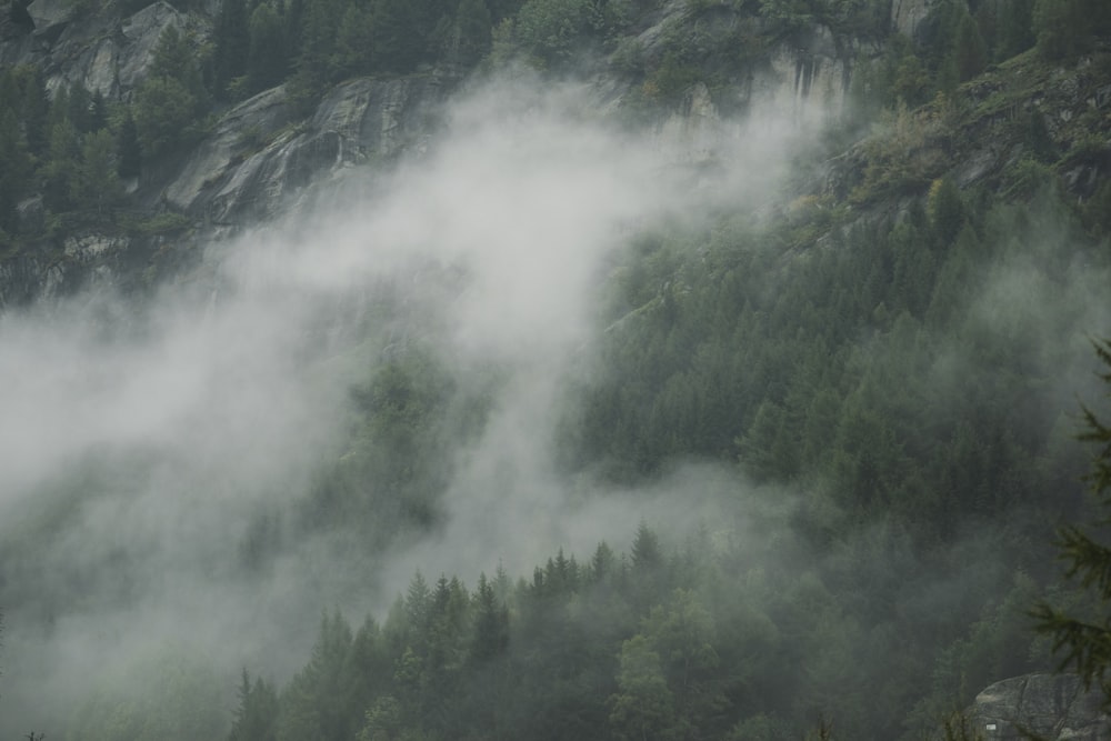 a mountain covered in fog with trees in the foreground