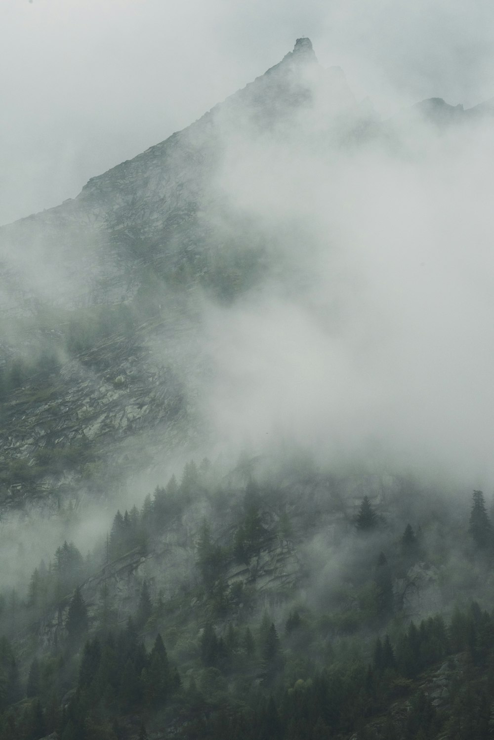 a mountain covered in clouds and trees on a cloudy day