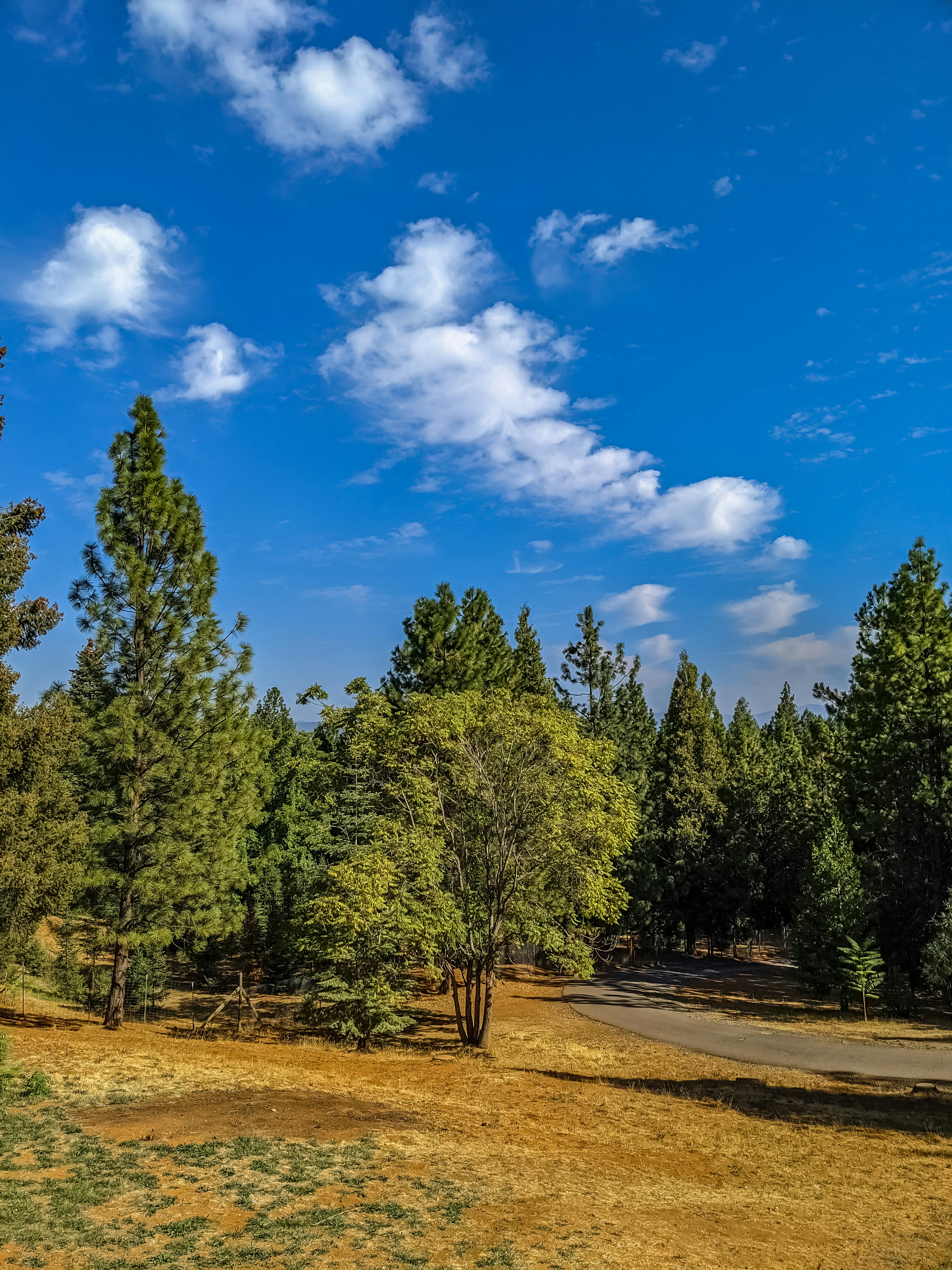 Photo by spencer_demera