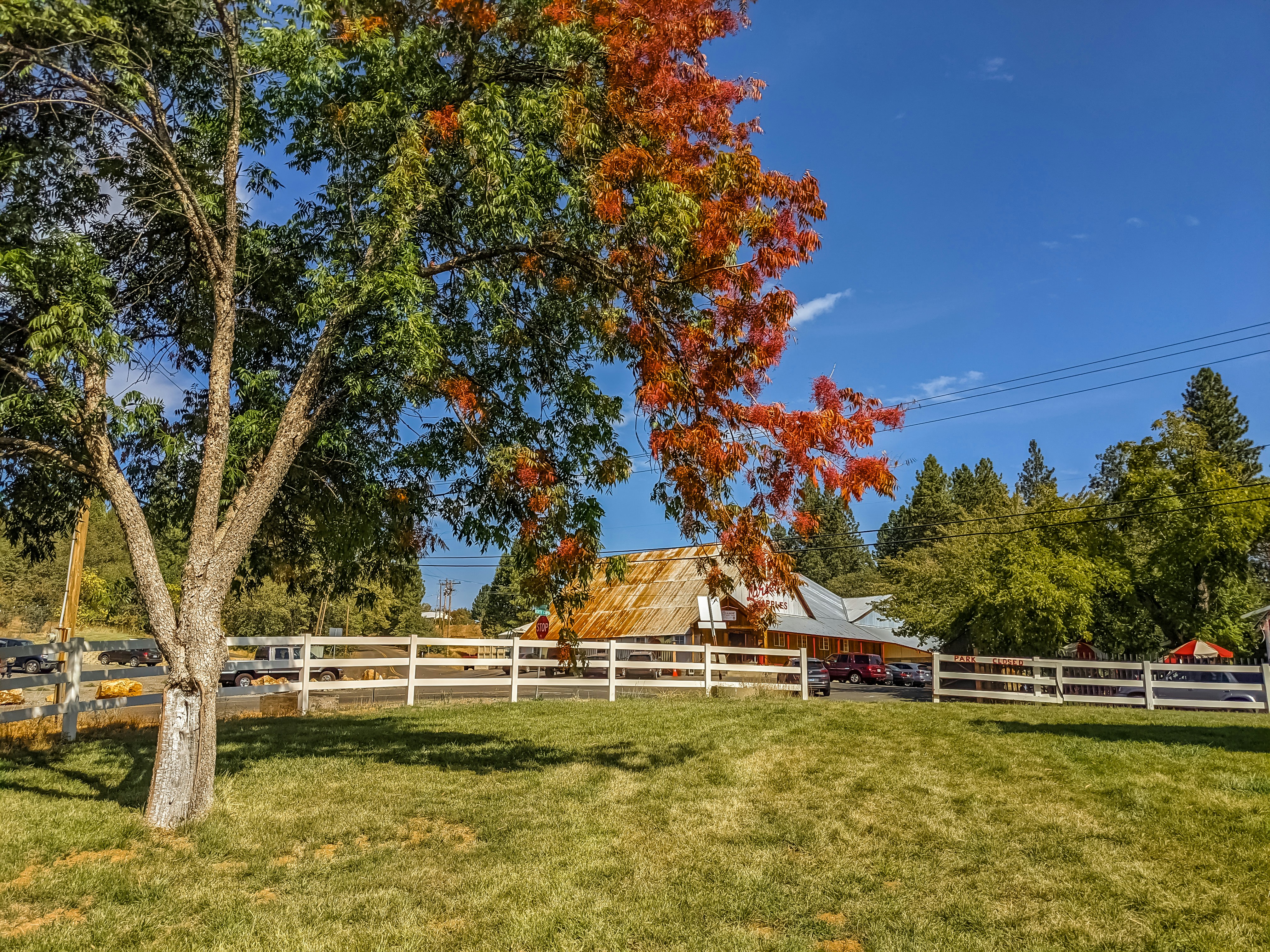 Apple Hill, El Dorado County, CA, USA 7 best free ca, usa, apple and