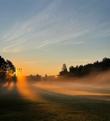 Sunrise casting warm cream and brown tones over a peaceful forest.