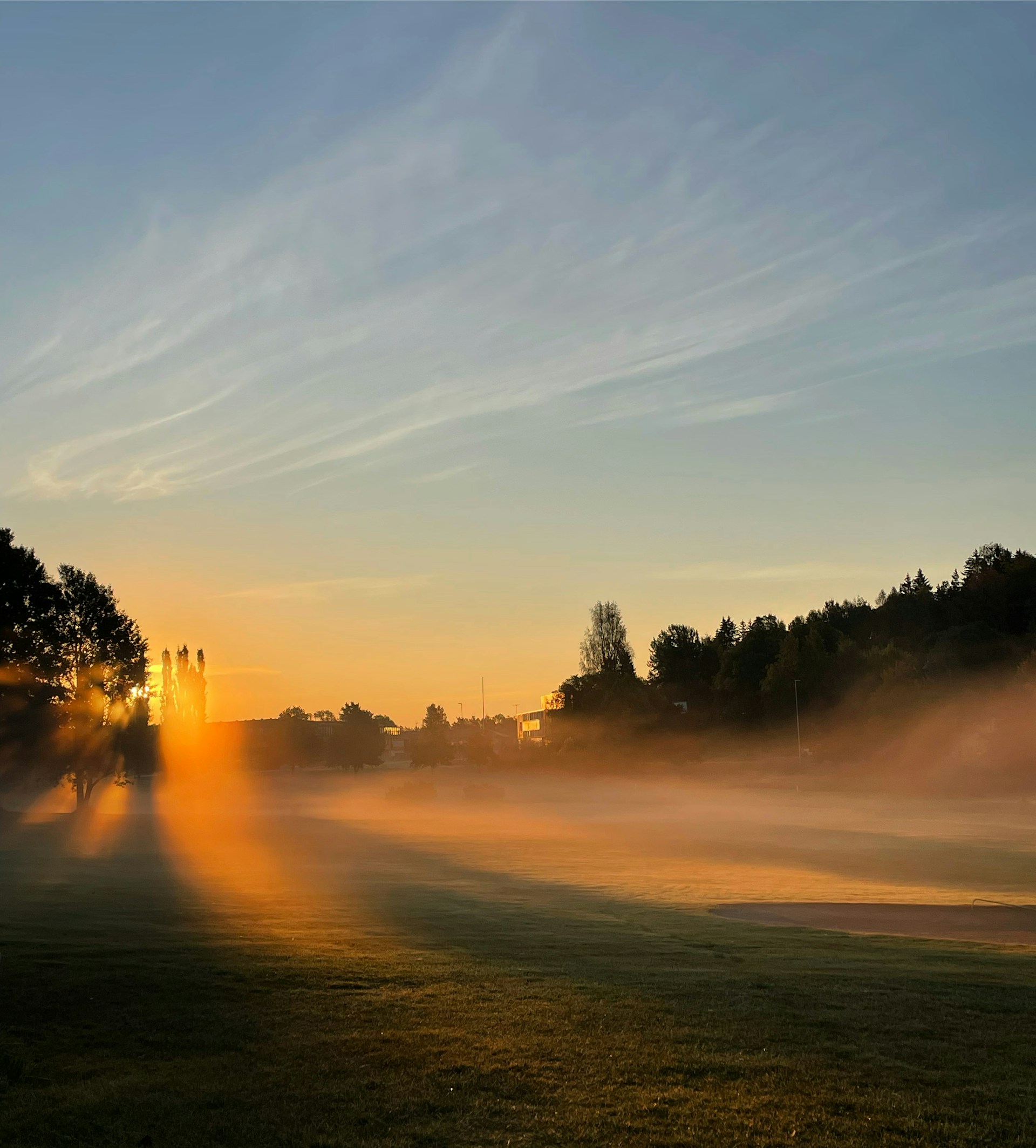 gray computer monitor