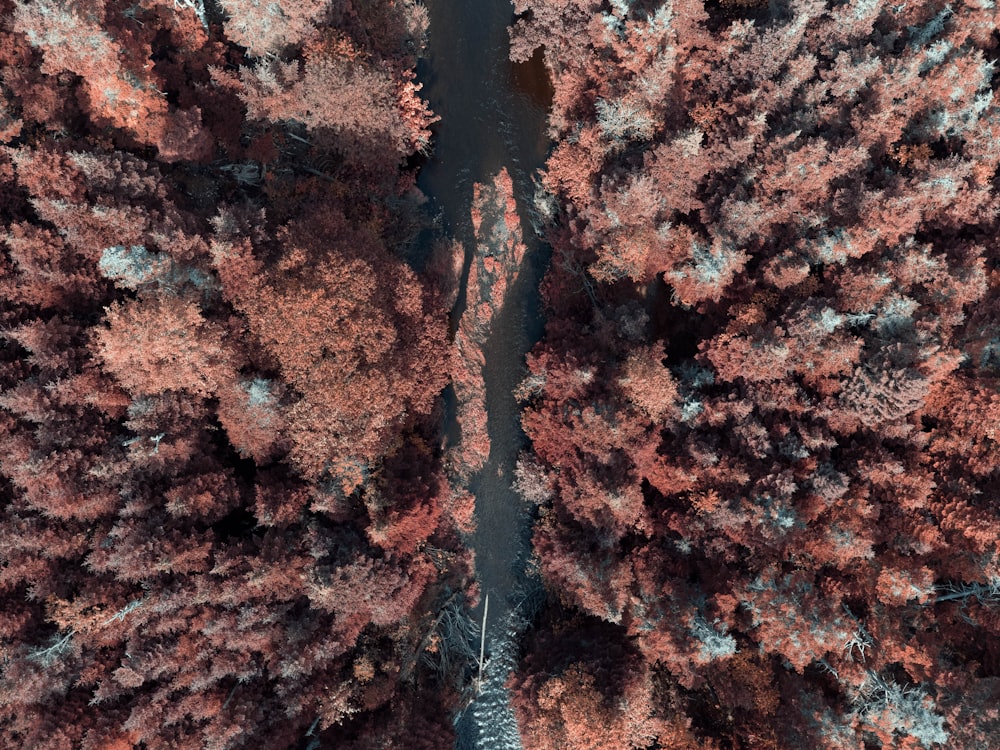 an aerial view of a road surrounded by trees