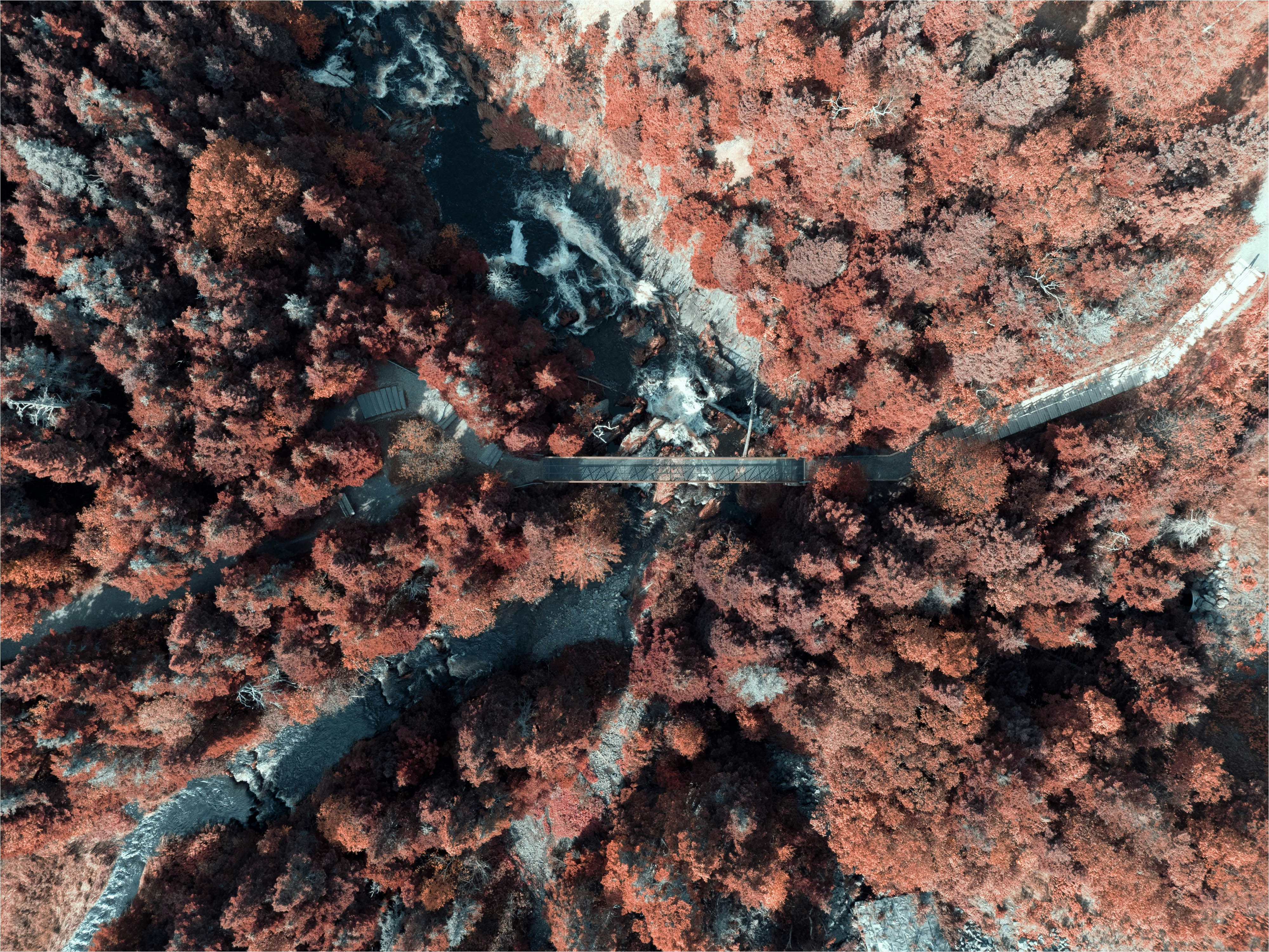 Photo by introspectivedsgn