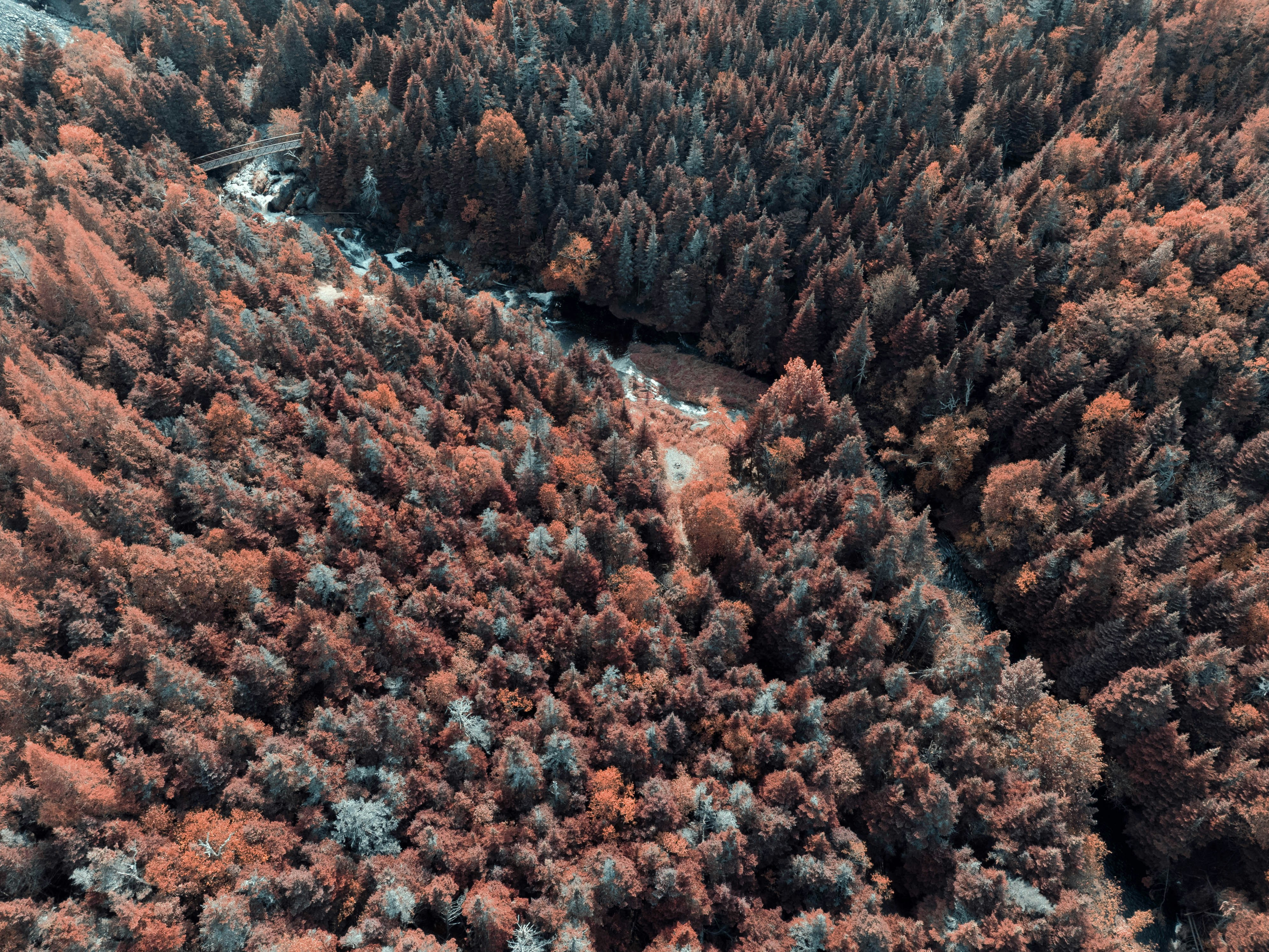 Photo by introspectivedsgn