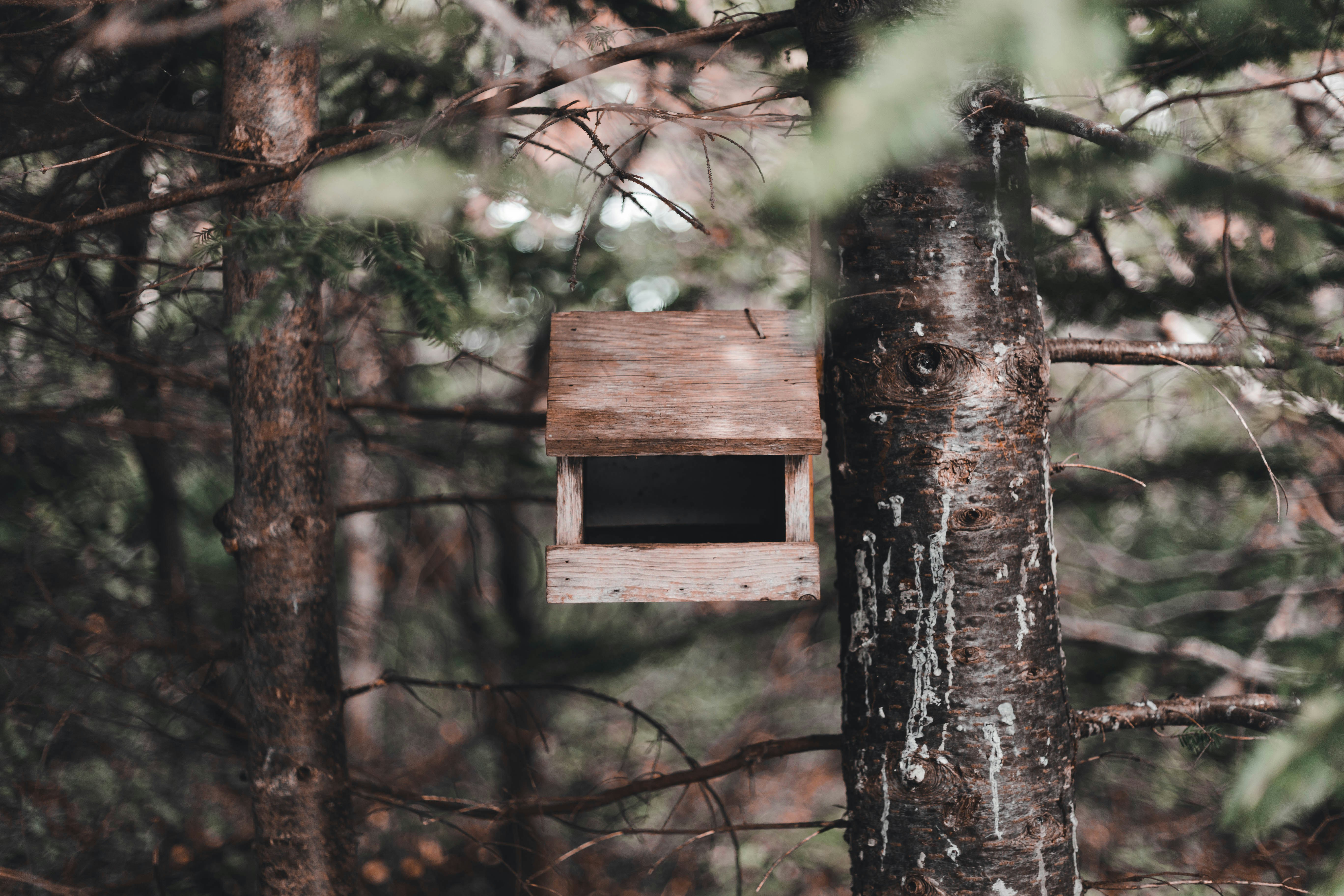 Photo by introspectivedsgn