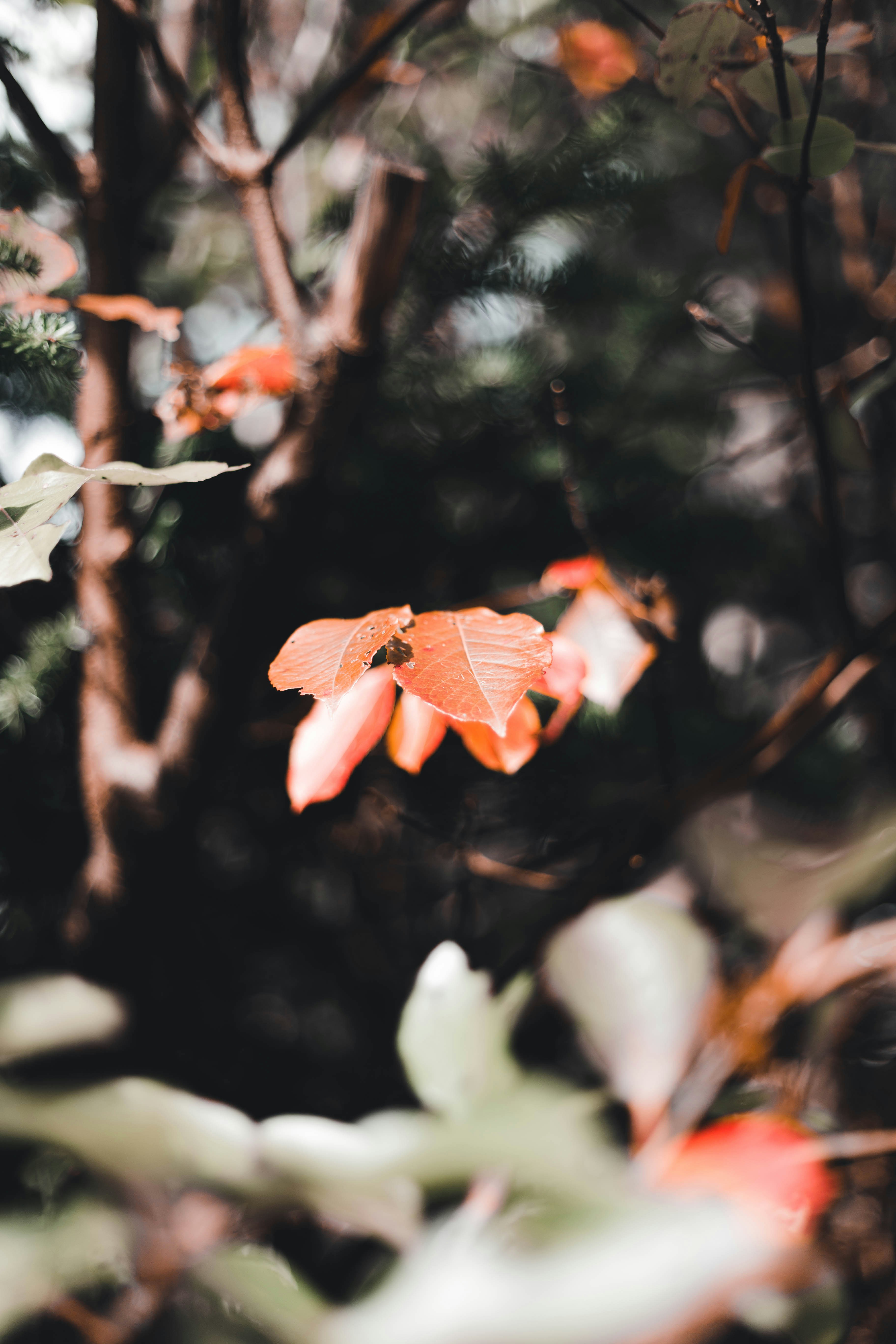 Photo by introspectivedsgn