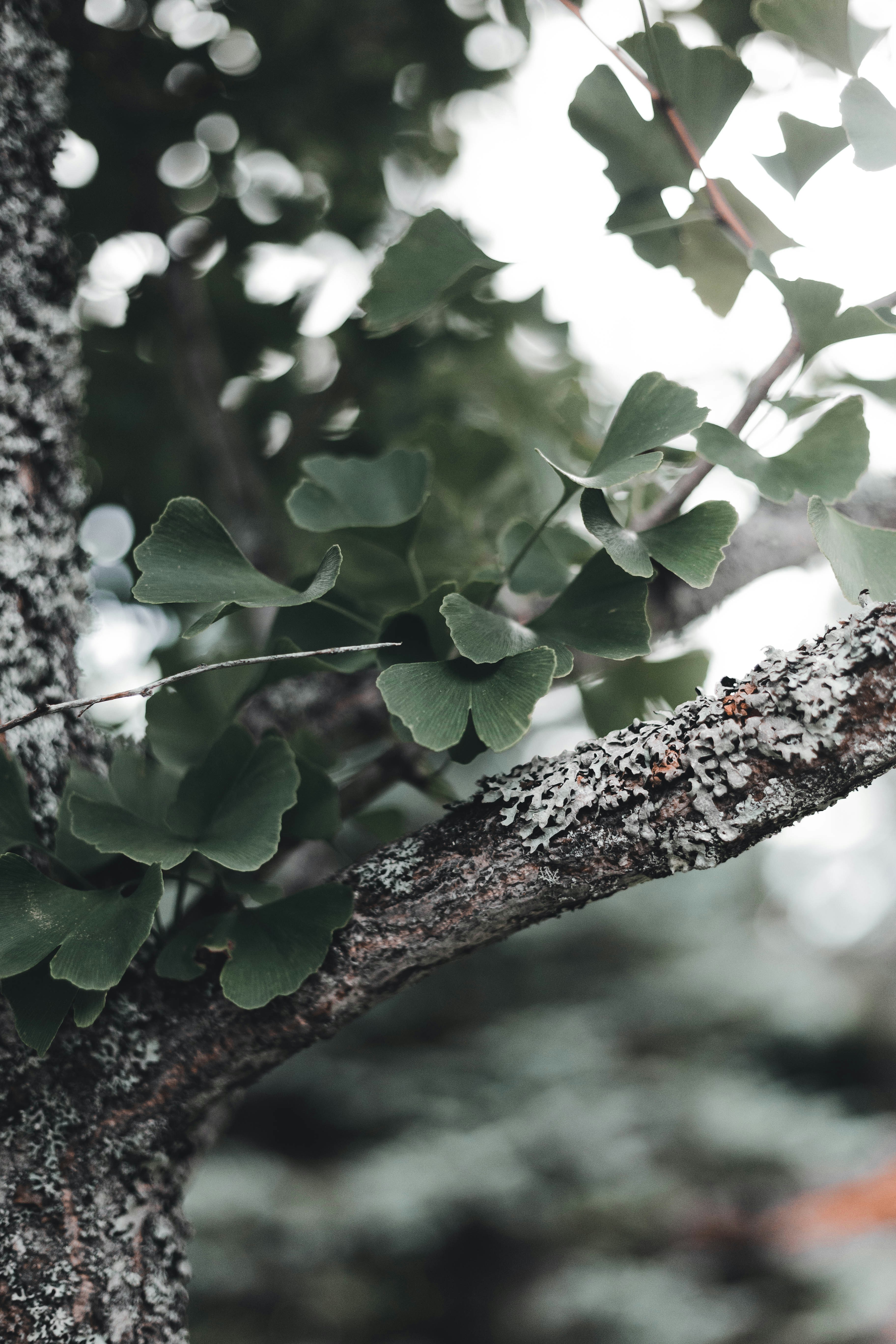 Photo by introspectivedsgn