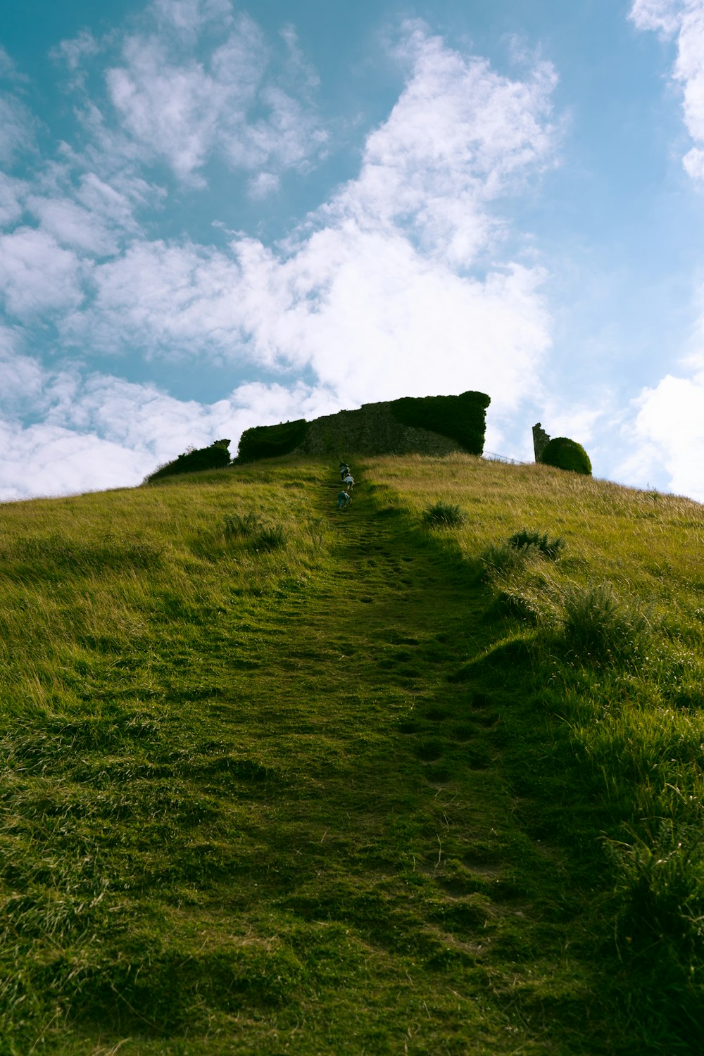 a grassy hill with a sky background
