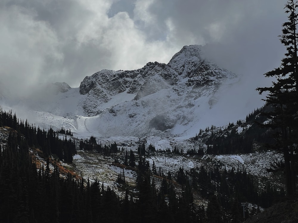 a mountain covered in snow and surrounded by trees