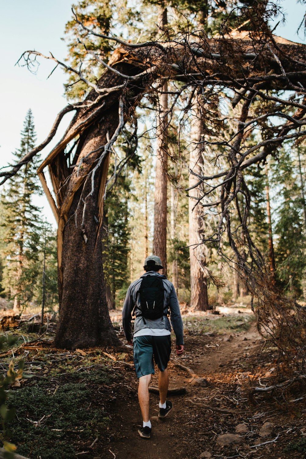 a man walking through a forest on a trail