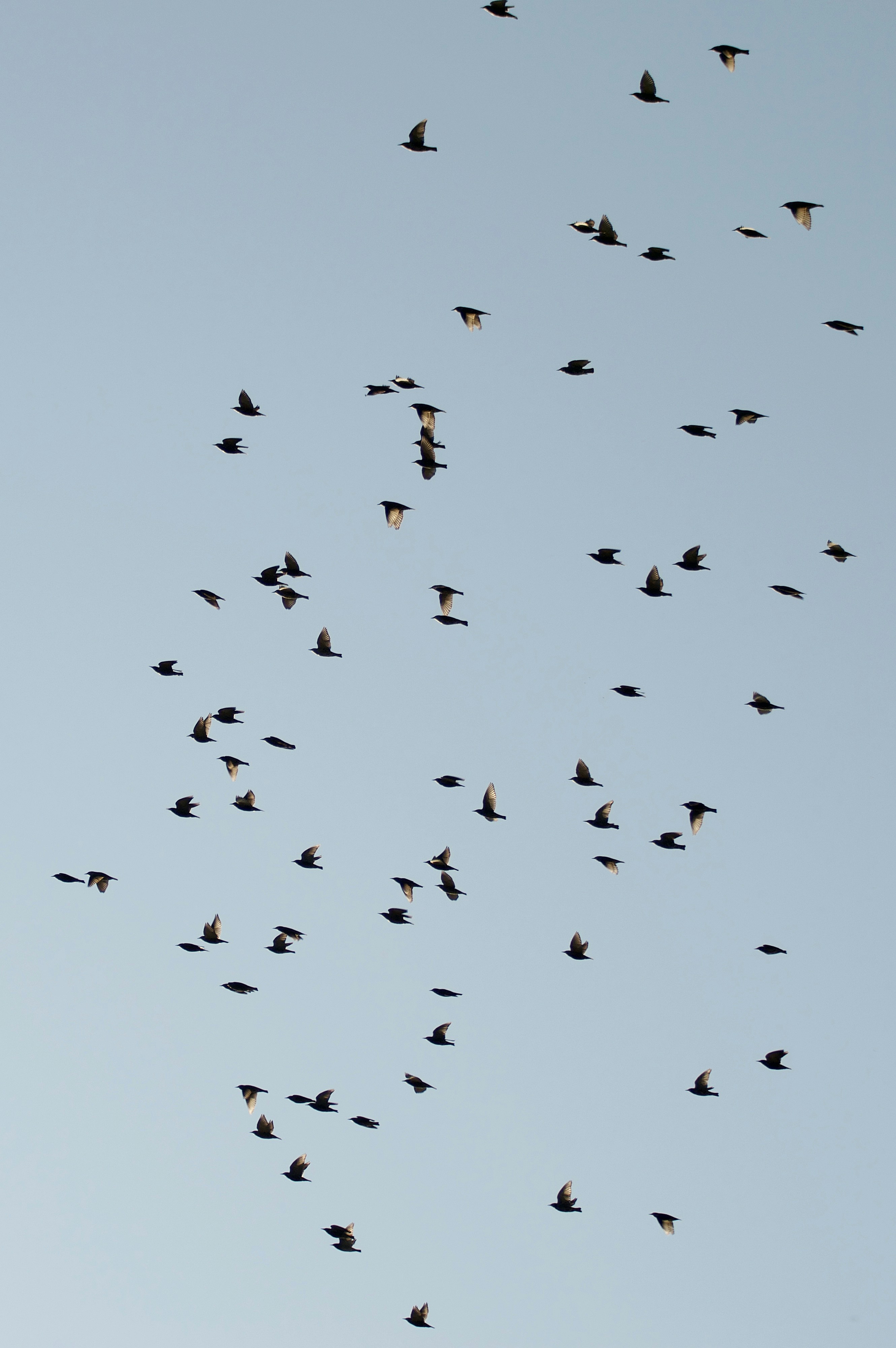 Photo by mariobeducci