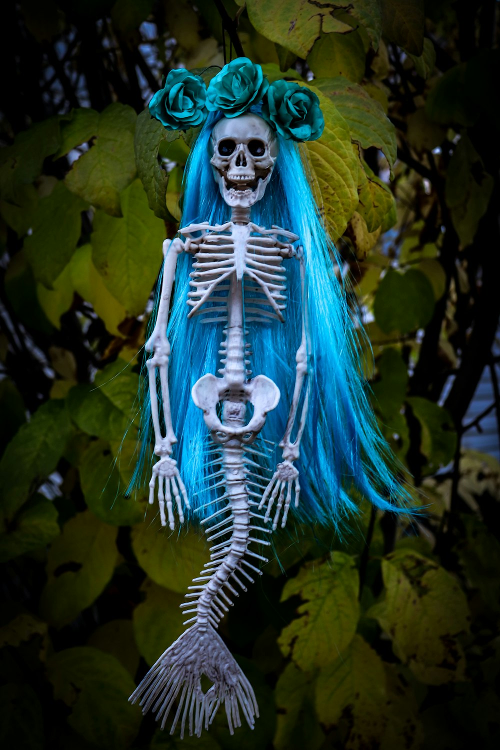 ein Skelett, das mit blauen Haaren an einem Baum hängt