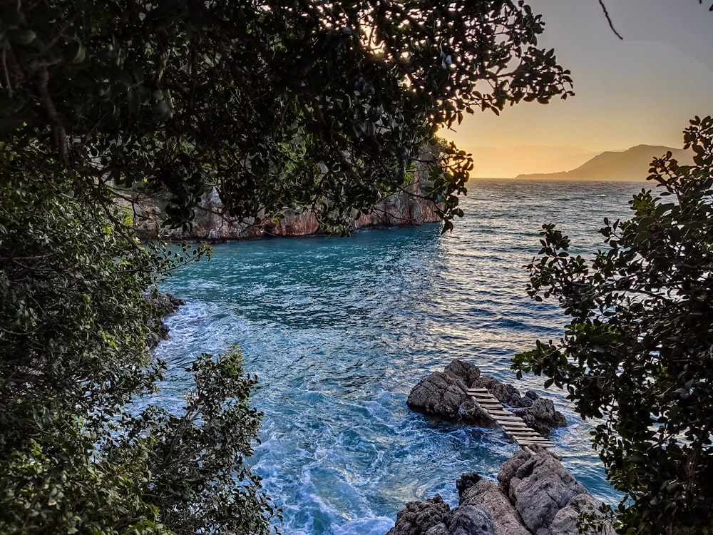 a body of water surrounded by trees and rocks