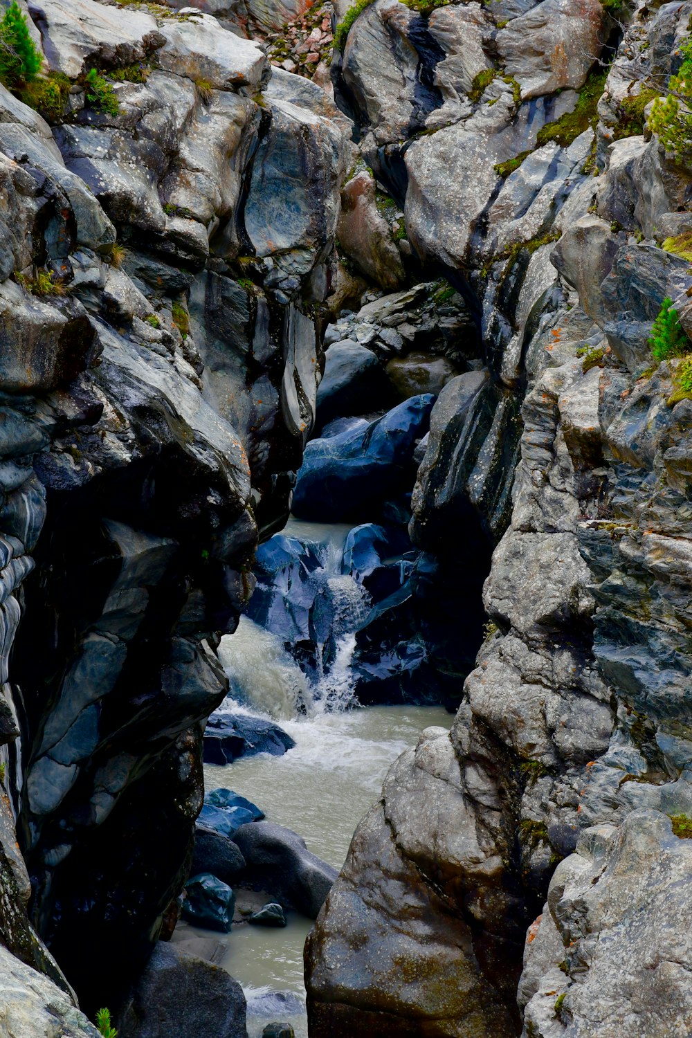 a river running through a rocky area next to a forest