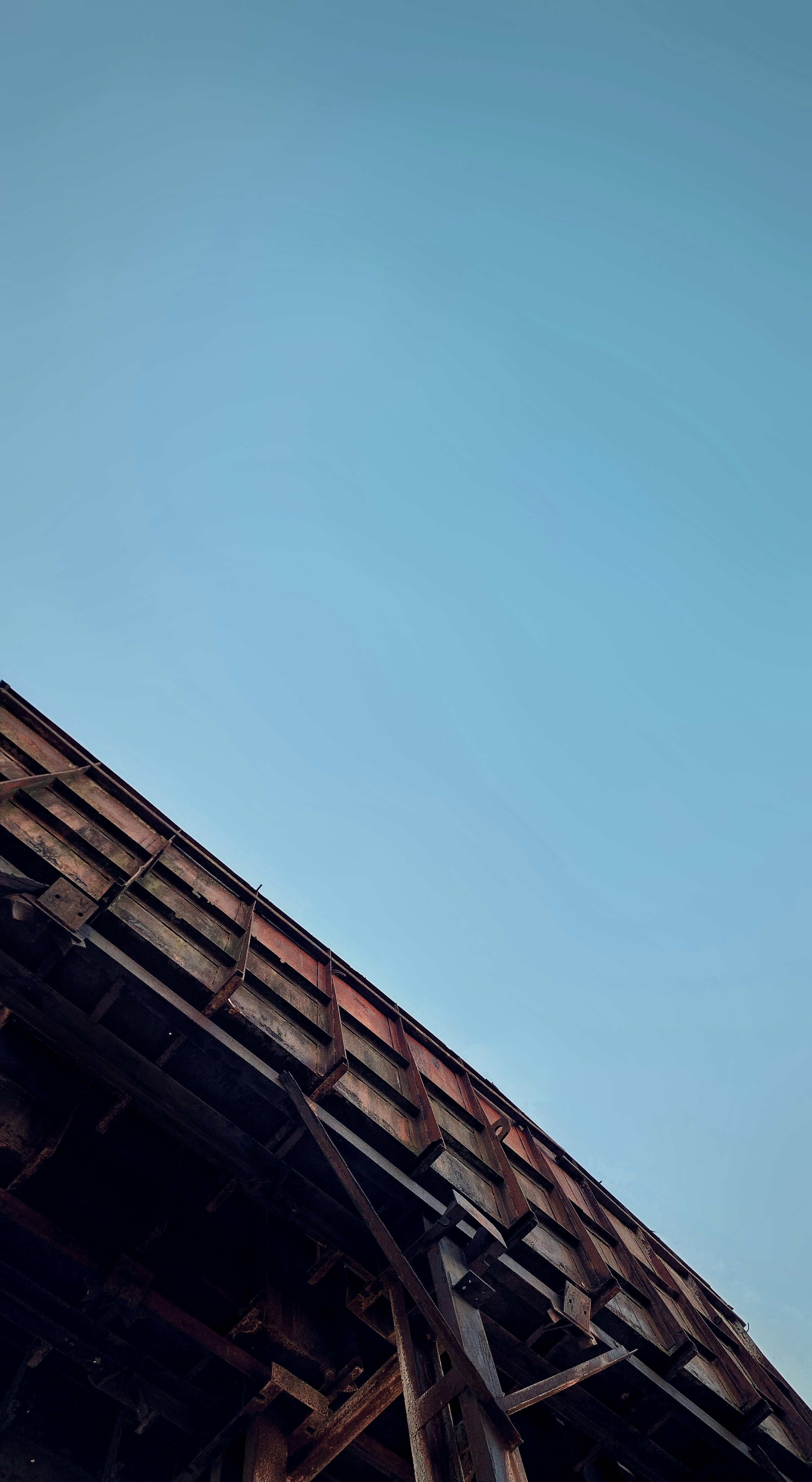 Photo by arthur_oleynik