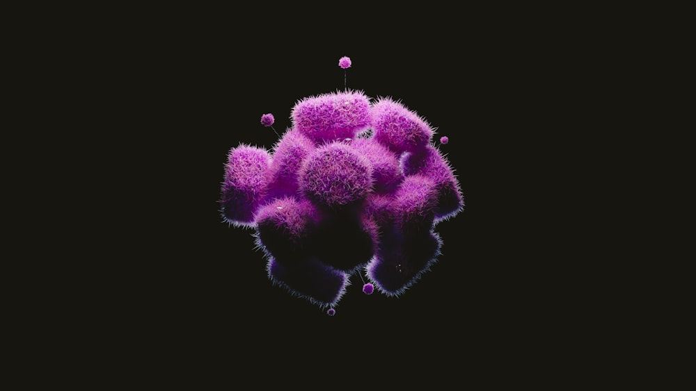 a close up of a purple substance on a black background