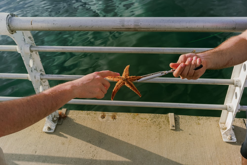 a person handing a starfish to another person
