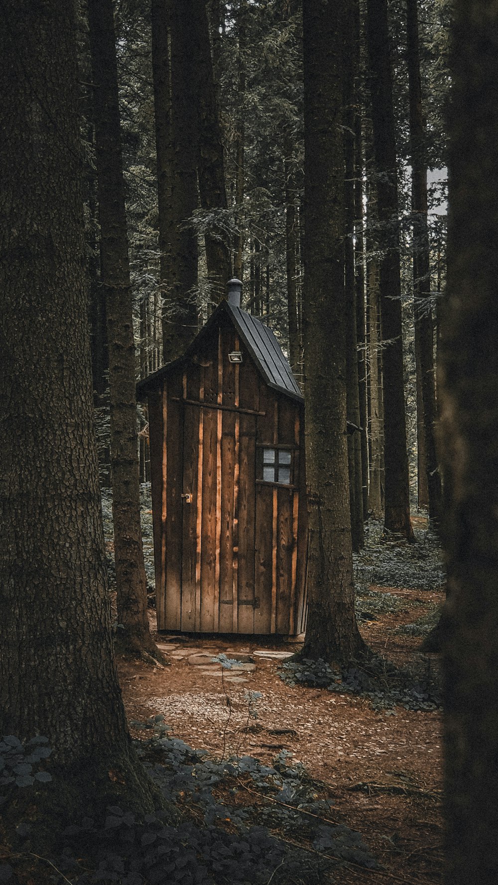 a small cabin in the middle of a forest