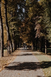 A caregiver and senior walking together outside, surrounded by autumn leaves.