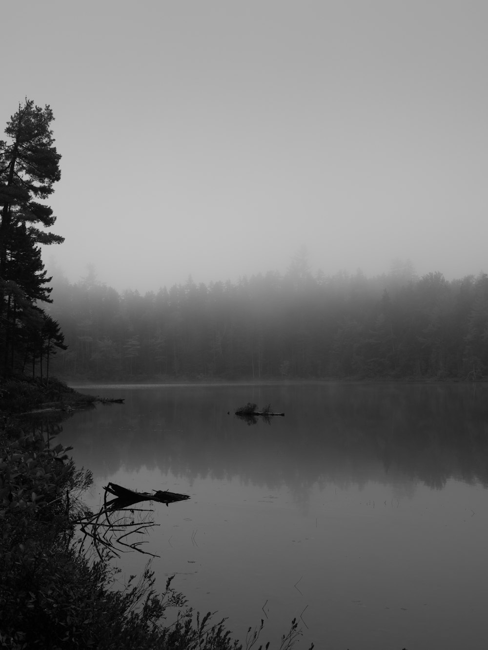 a black and white photo of a foggy lake