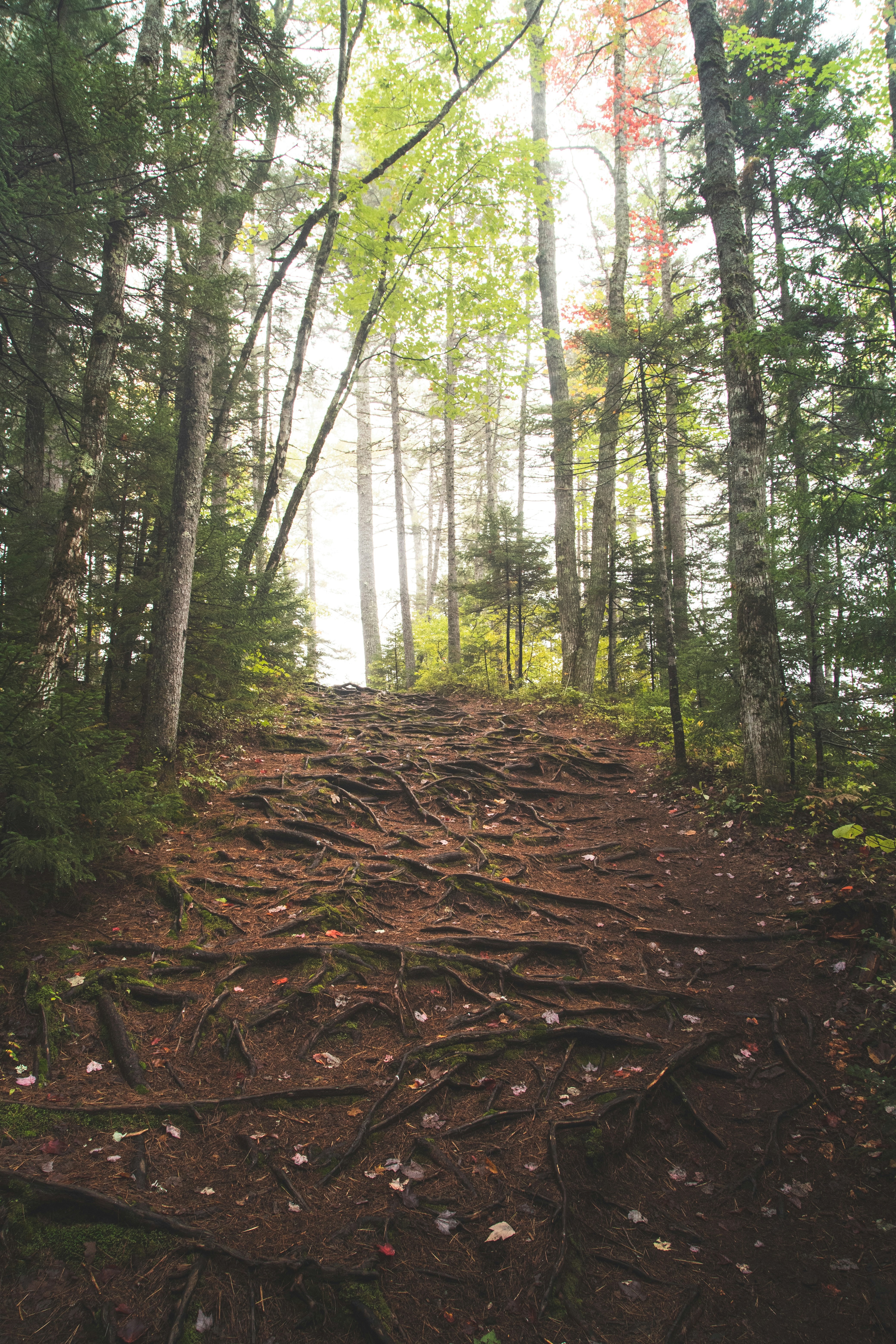 Photo by capturelight