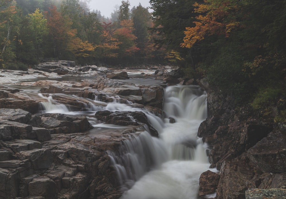 a waterfall in the middle of a forest