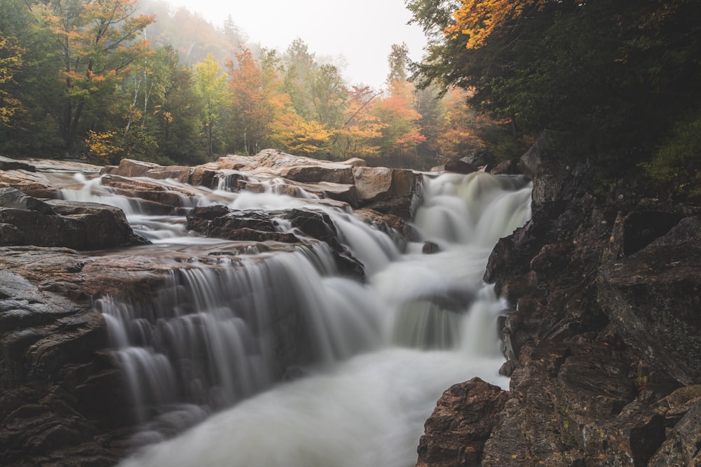 a waterfall in the middle of a forest