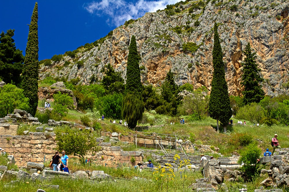 a group of people standing on top of a lush green hillside