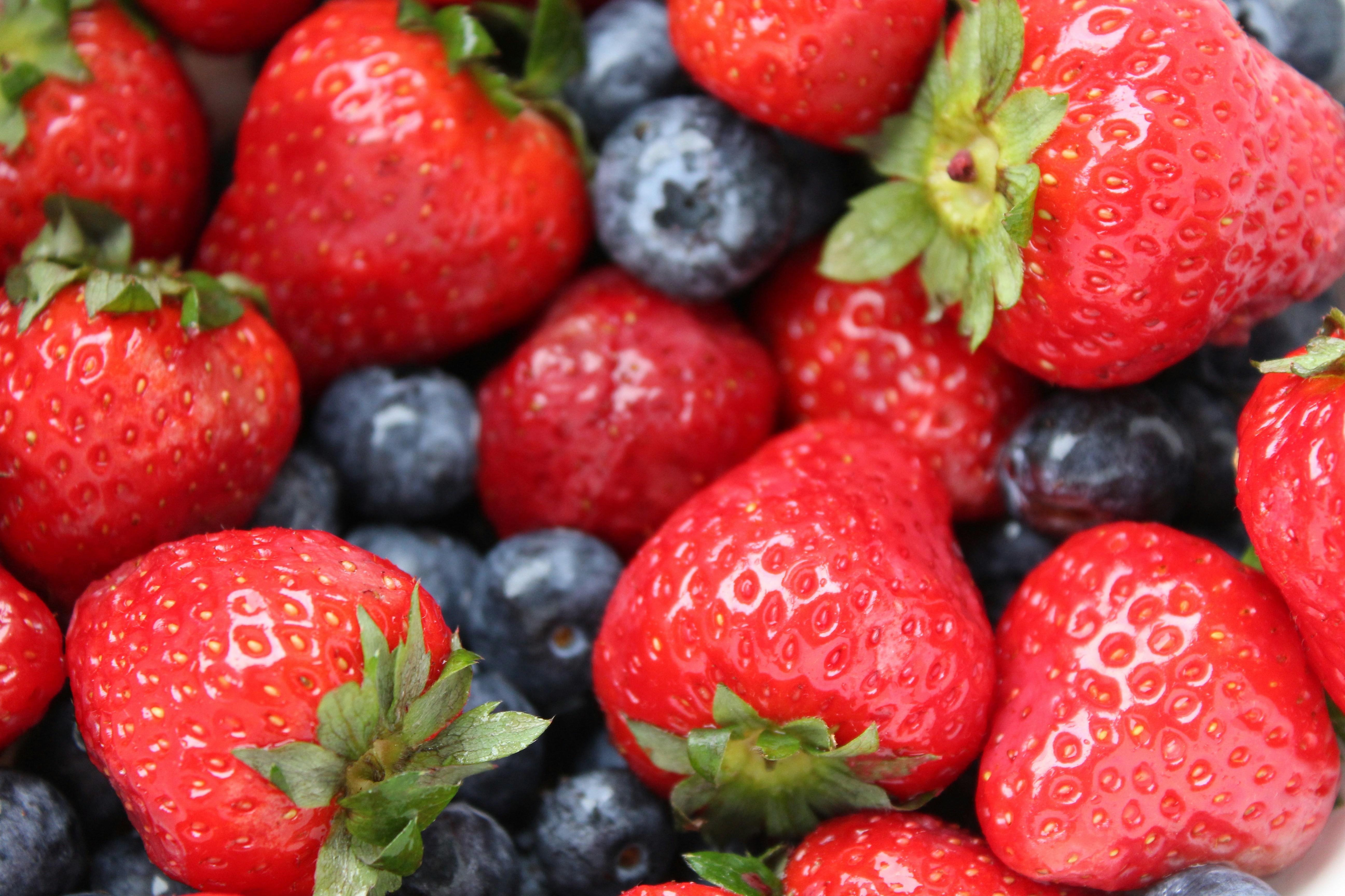 Photo by feliciafelicia