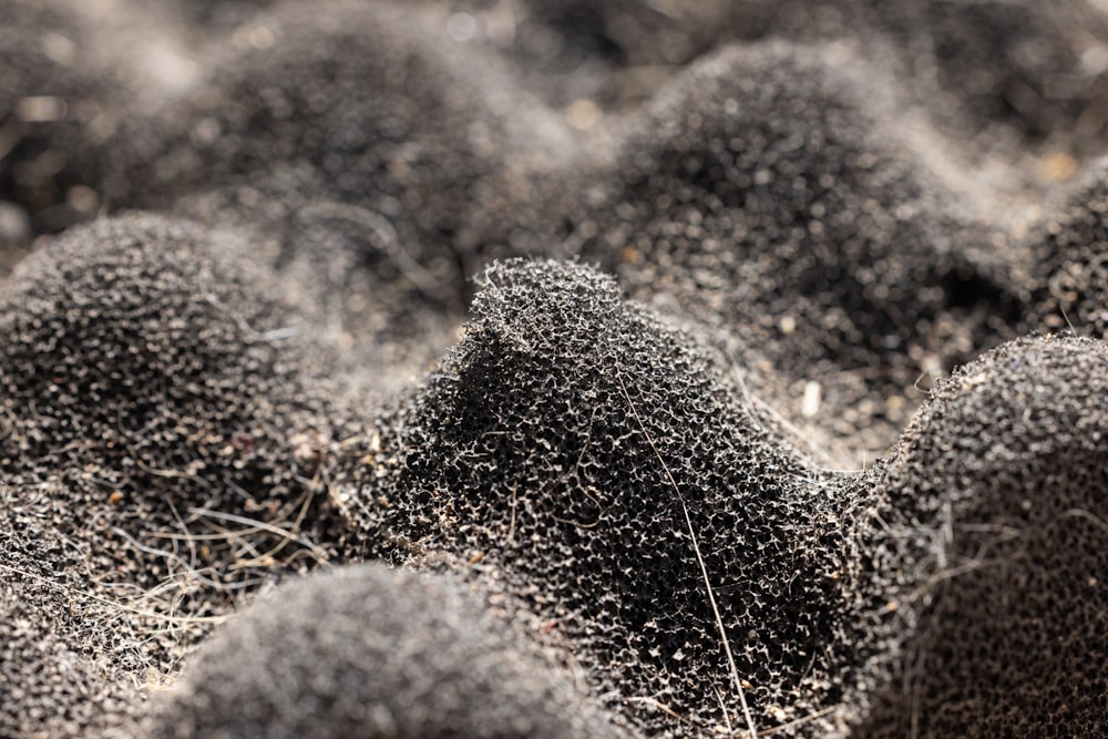 a group of black balls covered in dirt