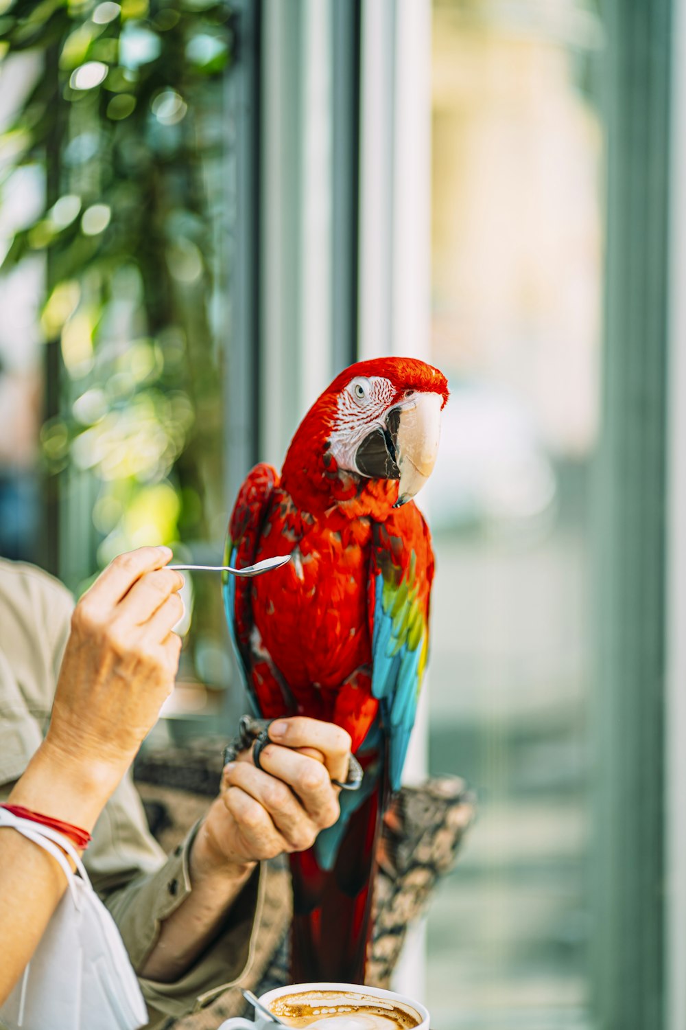 a man eating a cup of coffee with a parrot on his arm