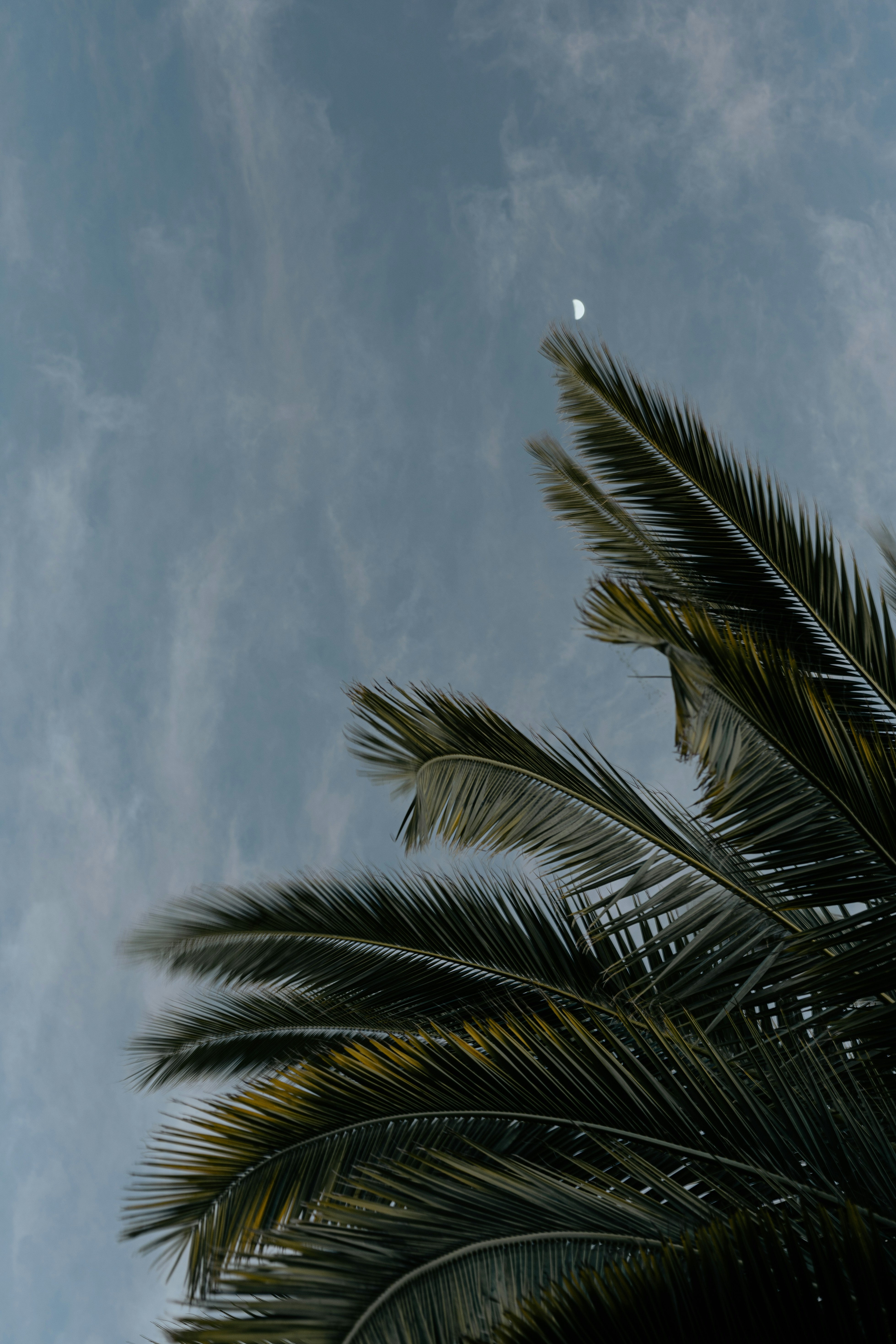 Photo by kalaniparker