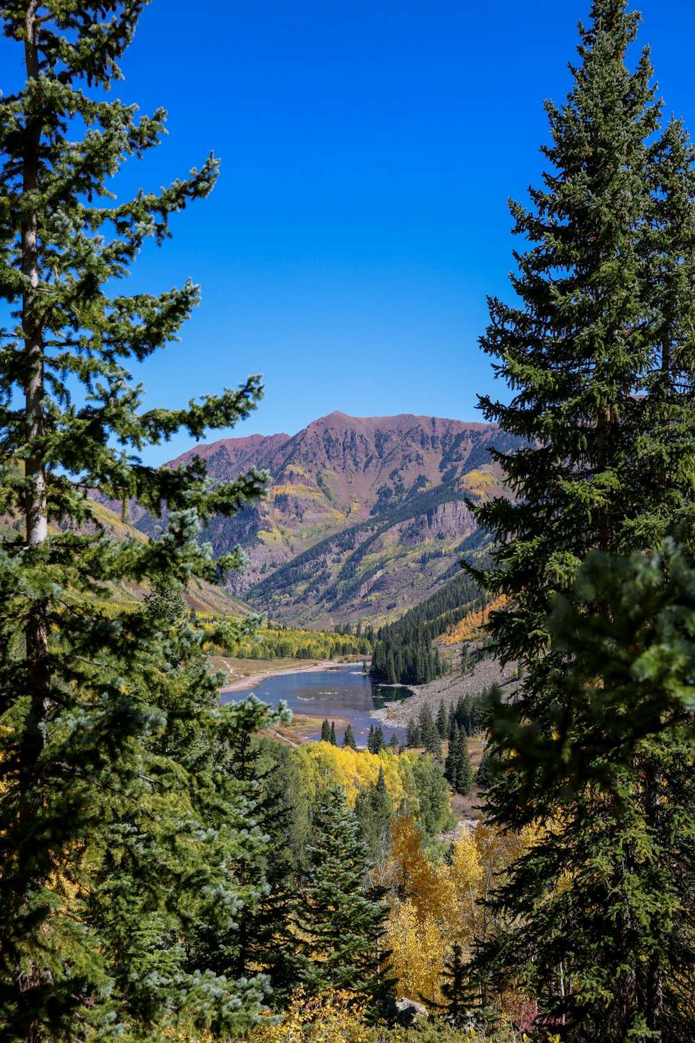 a scenic view of a lake surrounded by trees