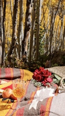 A warm, intimate family picnic scene bathed in soft terracotta sunlight.