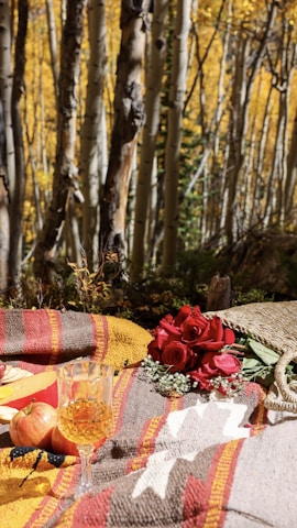 A cozy moment of ginger and mongi enjoying a picnic in nature.