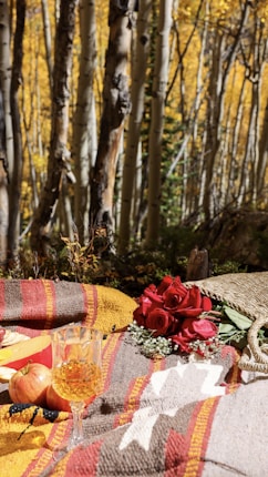 A cozy picnic scene set in an autumn forest, with a colorful knitted blanket adorned with red roses, an apple, and a glass of orange-hued liquid. The background features slender birch trees with golden leaves glowing in the sunlight.