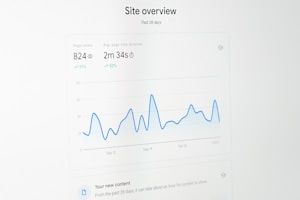 a computer screen with a line graph on it