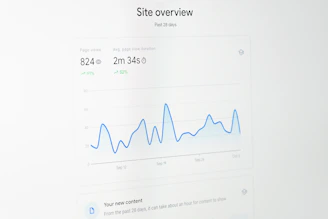 a computer screen with a line graph on it