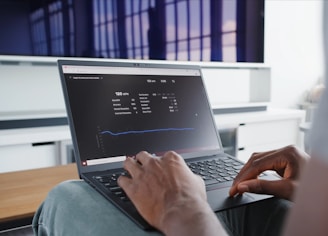 a person sitting in front of a laptop computer