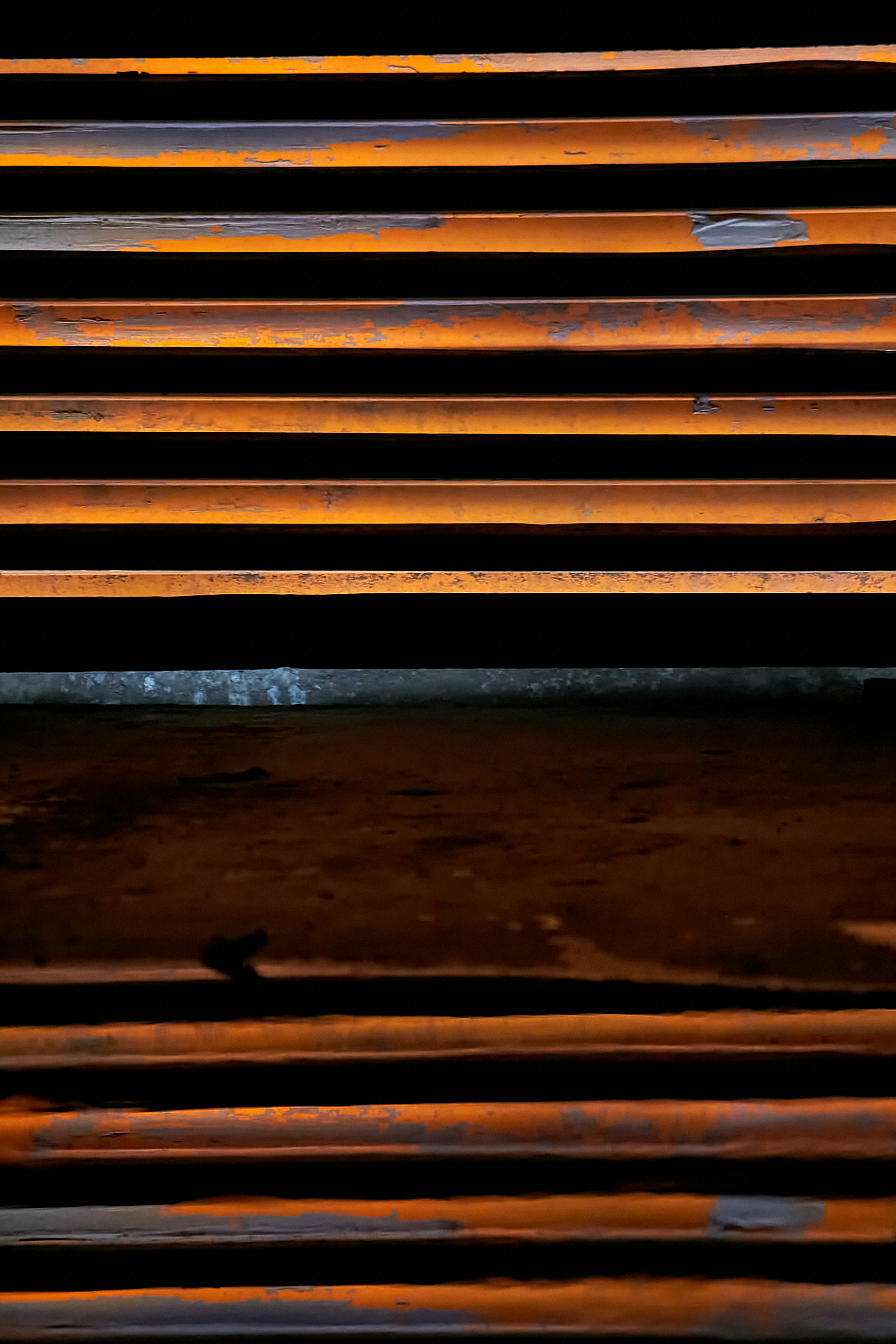 Photo by oscarsalgado