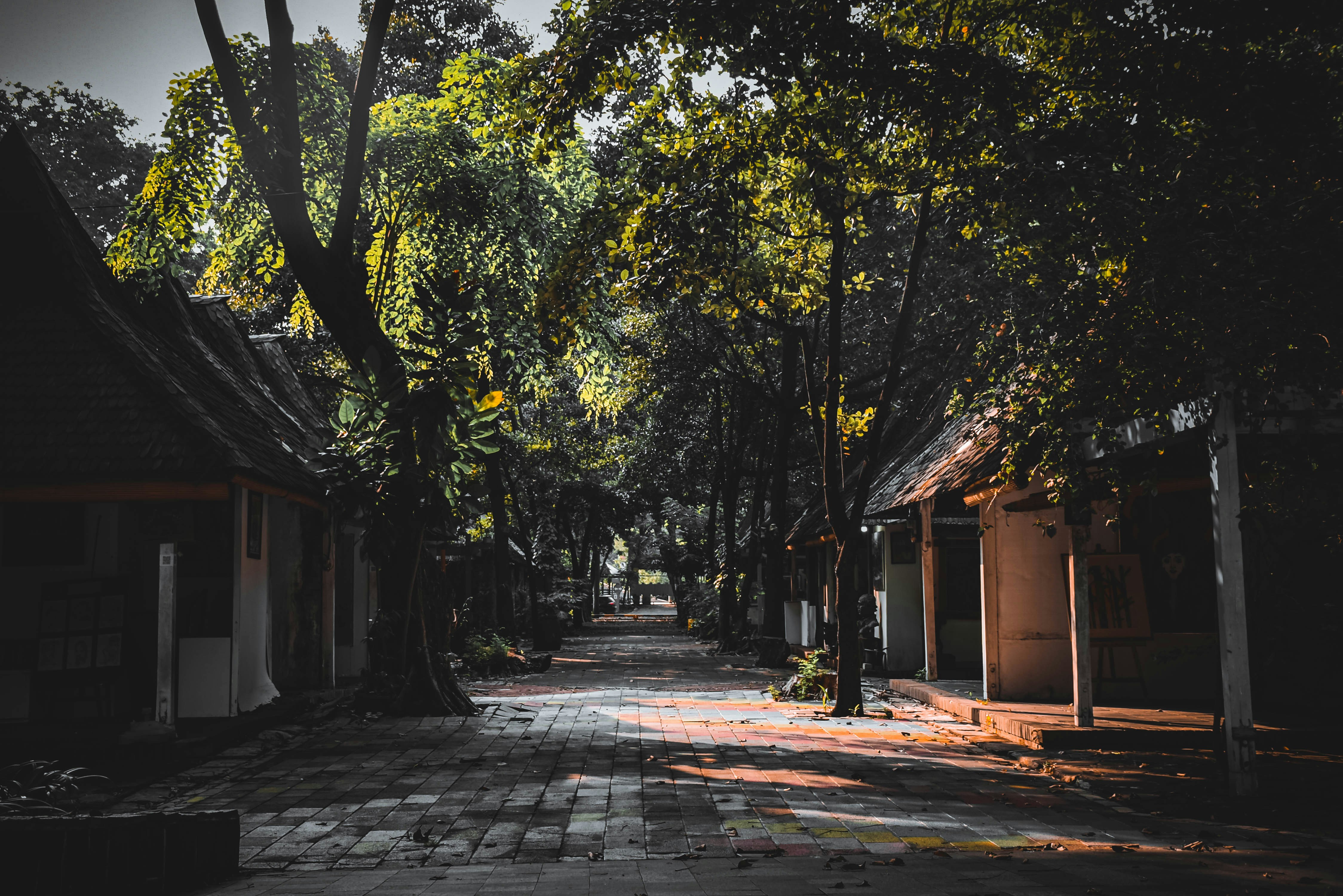 Photo by syahrilfdilla_id