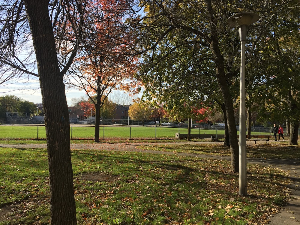 a couple of people walking through a park