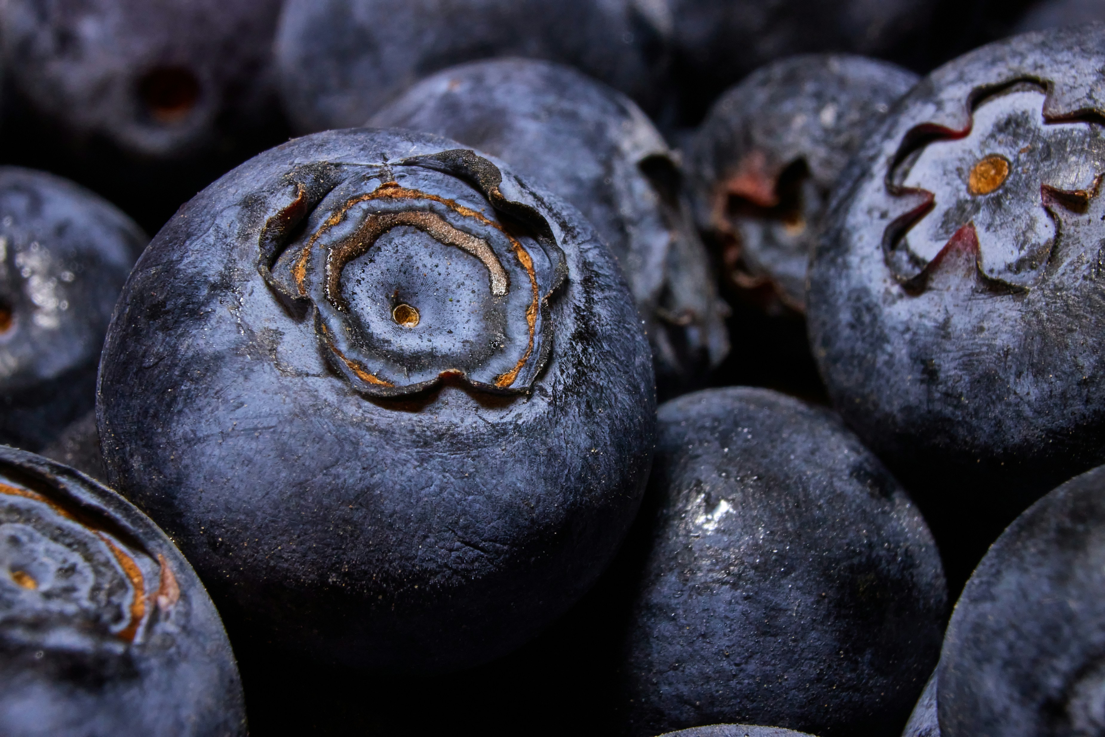 a pile of blueberries with rust on them, 