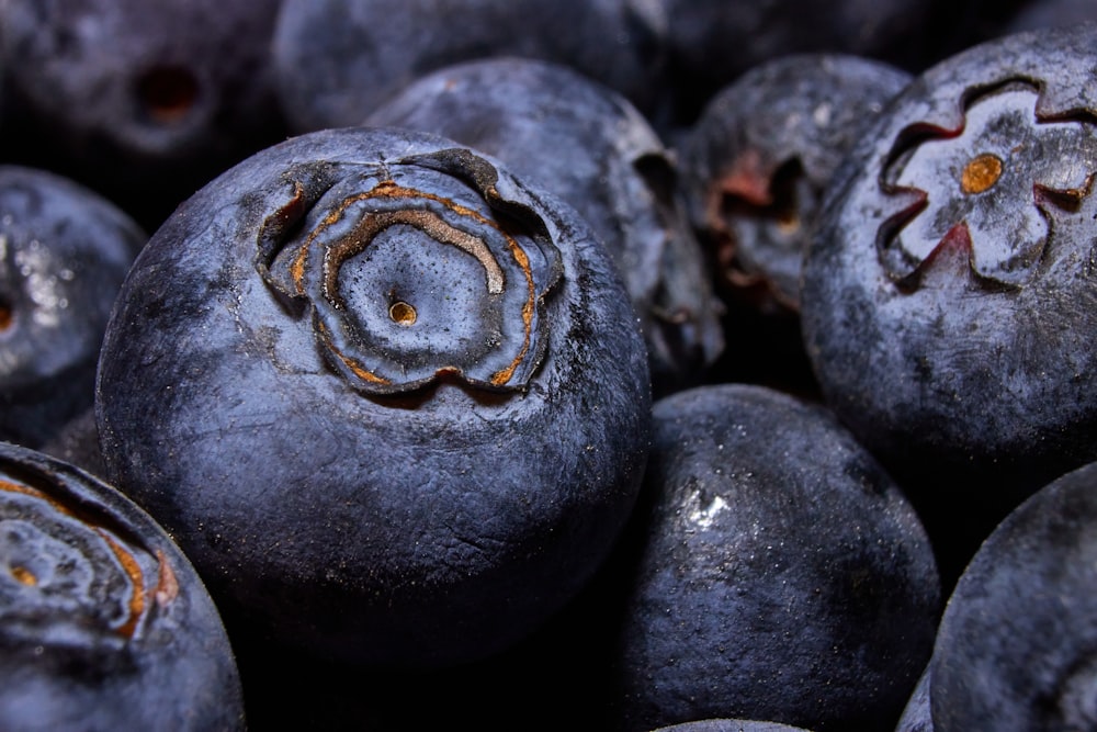 a pile of blueberries with rust on them